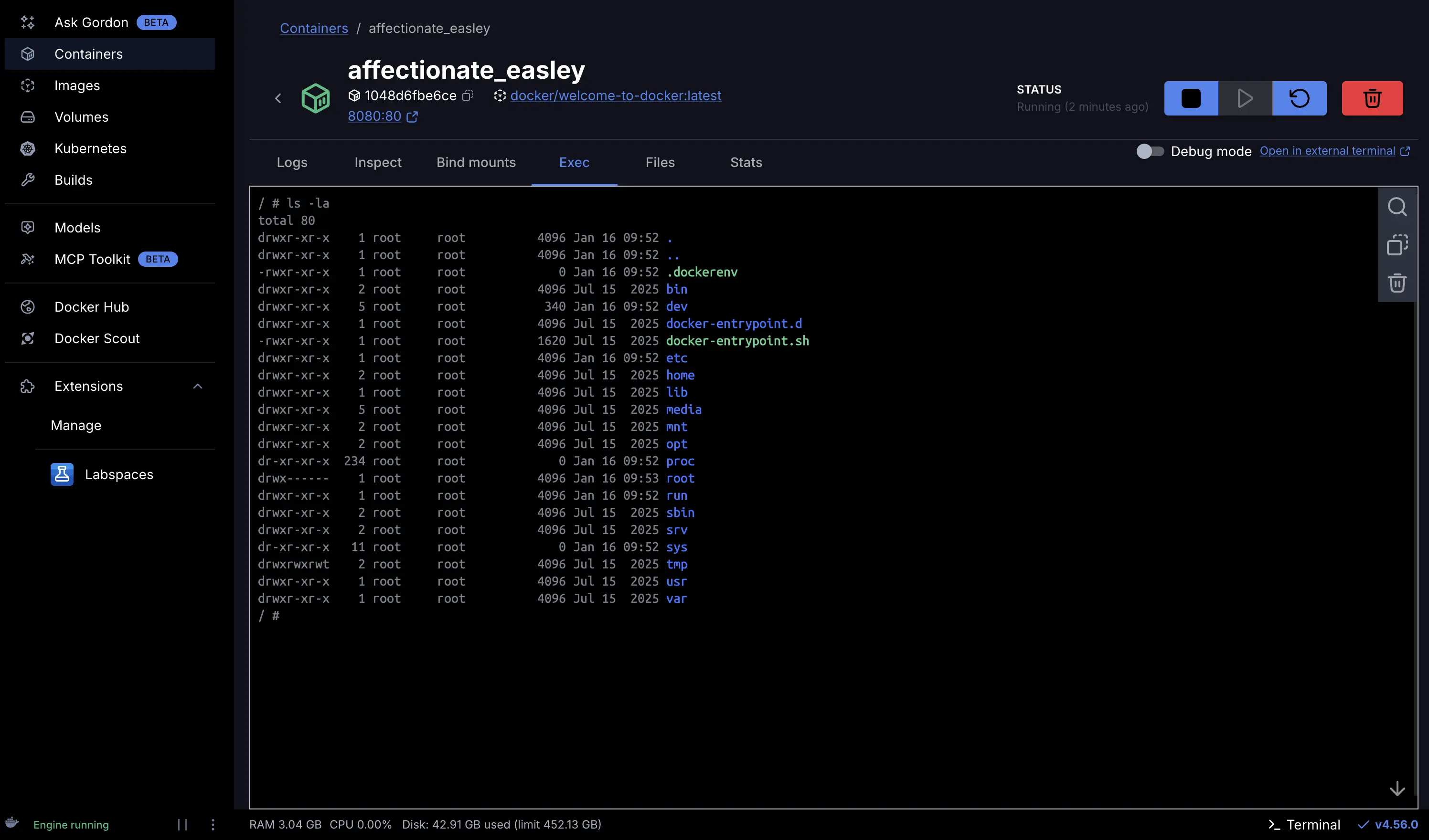 Screenshot of exec into the running container in Docker Desktop