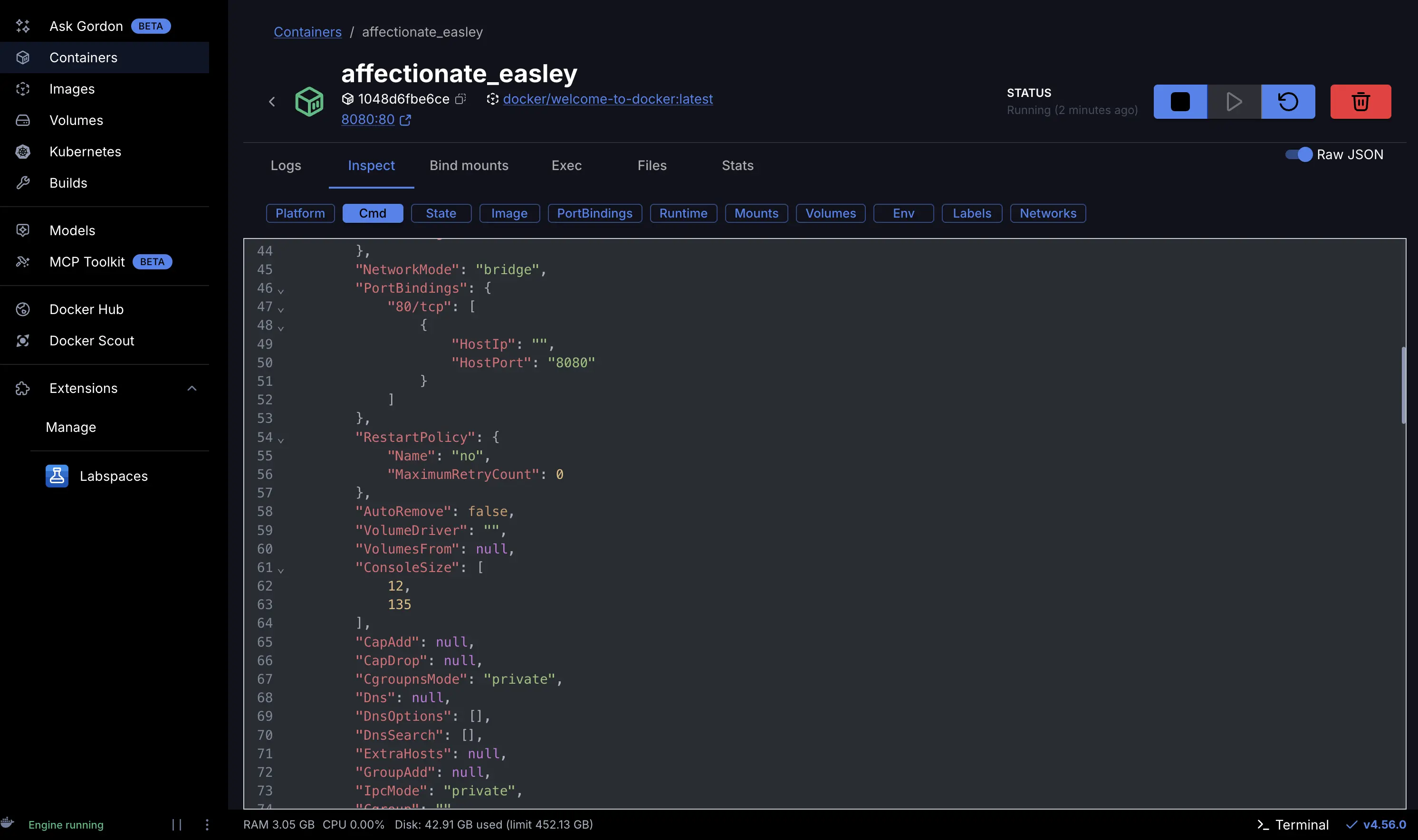 Screenshot of inspecting the running container in Docker Desktop